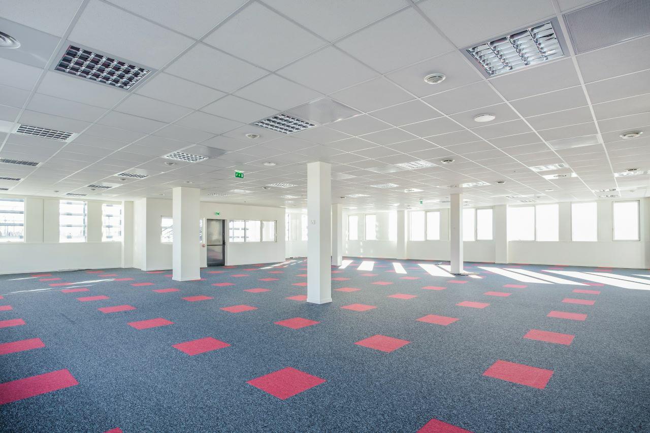 Bureau Lyon 3790m² Vente bureau Lyon Rhône OVBUR2109249 4